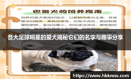 U8国际官网-追求健康